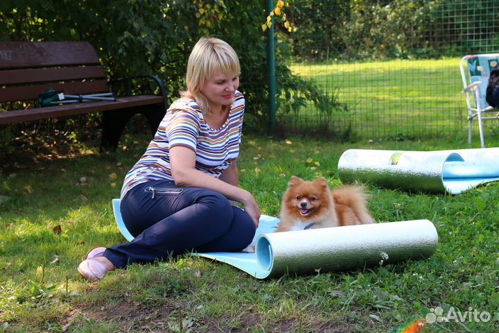 Услуги кинолога