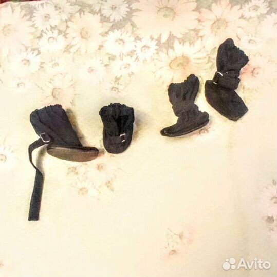 Одежда для собак мелких пород