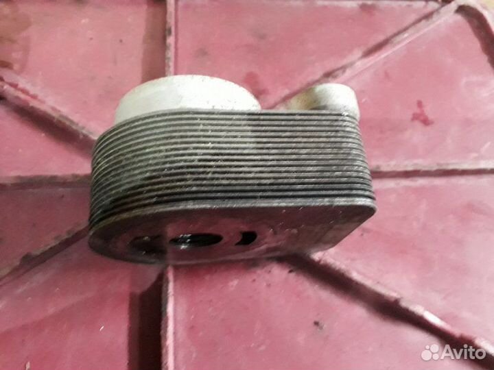 Радиатор масляный Renault Kangoo KC0 K4M 2004