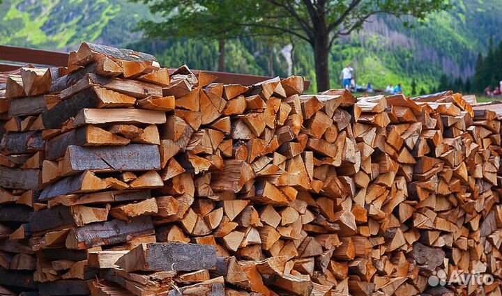 Дрова береза