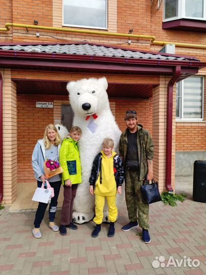 Поздравления Мишка / Панда