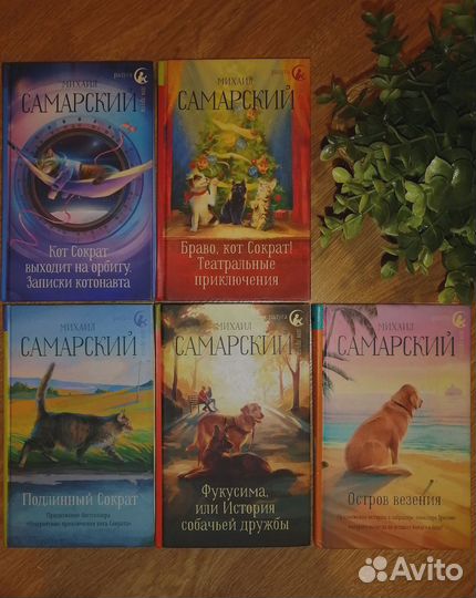 Михаил Самарский 5 серий