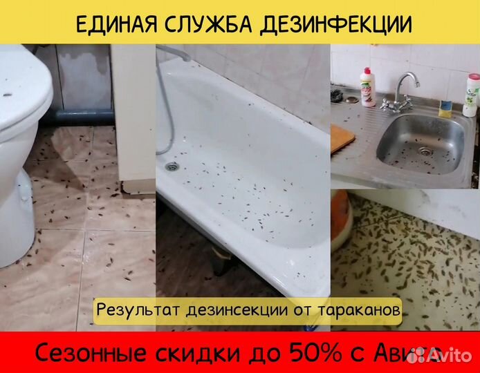 Дезинфекция