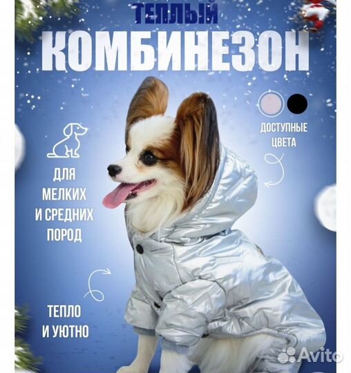 Комбинезон для собаки