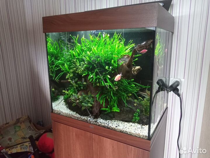 Аквариум Juwel Lido 120л, тёмное дерево