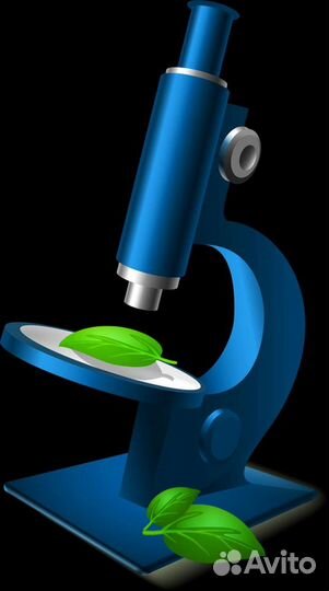 Репетитор по биологии