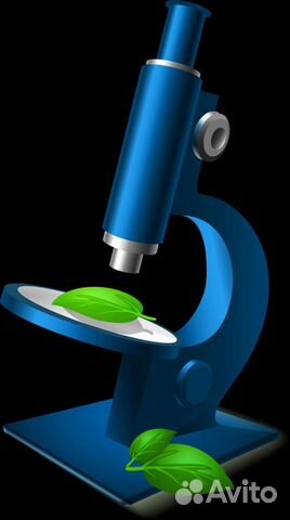 Репетитор по биологии