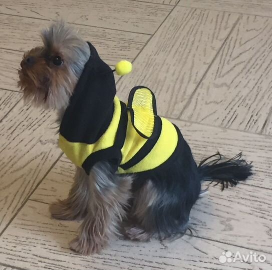 Комбинезон «пчелка» «дед мороз» для йорка