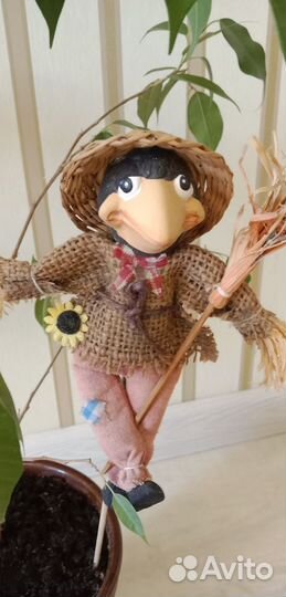 Фикус Бенджамина