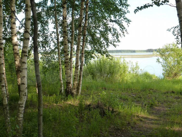 Участок 18 сот. (ИЖС)