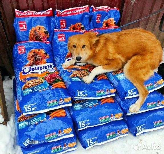 Сухой корм для собак Chappi 15 кг