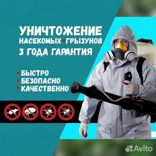 Уничтожение клопов тараканов блох крыс мышей