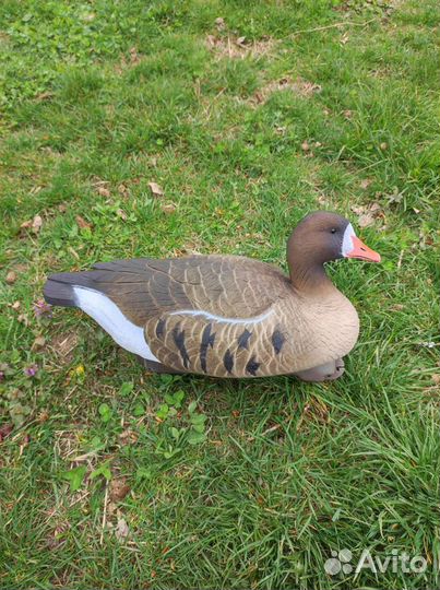 Гусь белолобый плавающий Final Approach FA