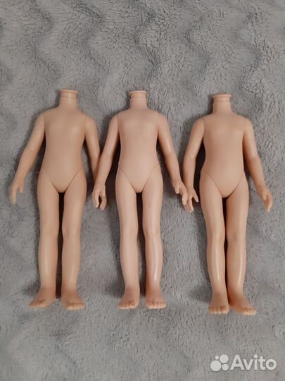 Лот из трех тел Паола Рейна