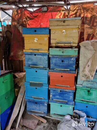 Продам ульи для пчел