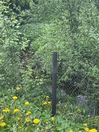 Дом 116,4 м² на участке 50 сот.