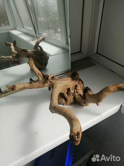 Коряги для террариума