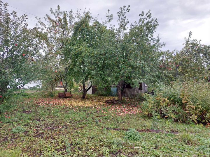 Дача 20 м² на участке 12 сот.