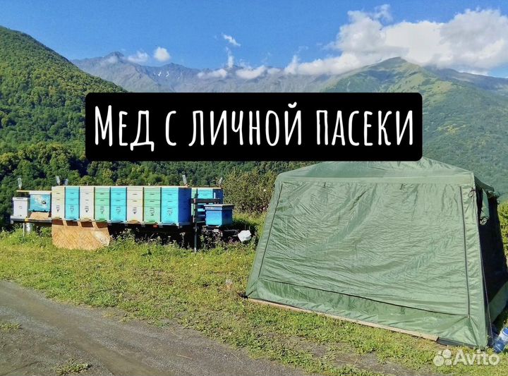 Мед натуральный