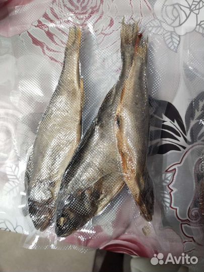 Плотва,Окунь,Щука с Ладоги