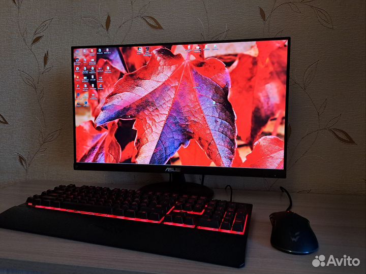 Монитор asus 144гц 1920х1080