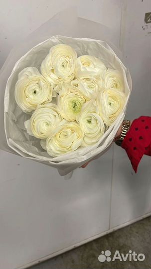 Ранункулюс цветы