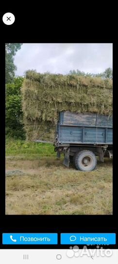 Сено в тюках