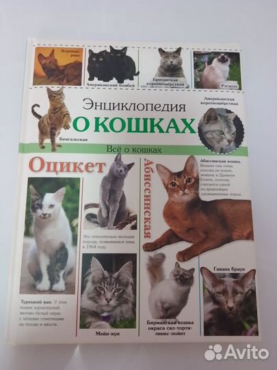 Энциклопедия про кошек