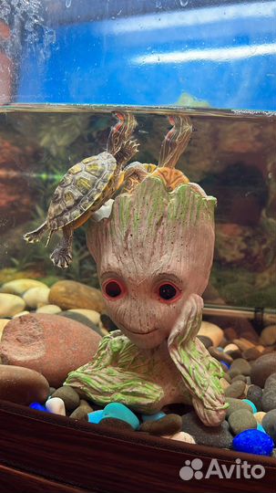 Аквариум с тумбой