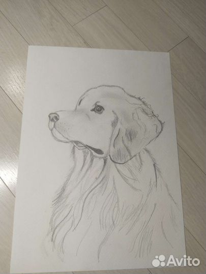 Рисунок собаки