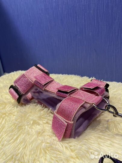 Амуниция для собак(ошейники, поводки и тд)