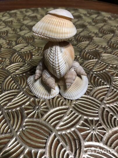 Изделия из ракушек
