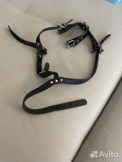 Шлейка для средней собаки