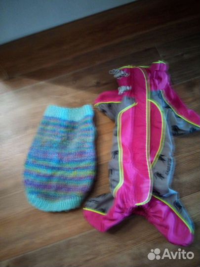 Дождевик для маленькой собаки