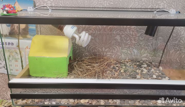 Террариум для сухопутной черепахи 60*30*30