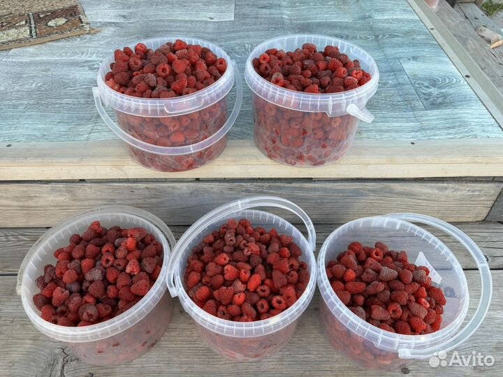 Малина (стоп, заказы сформированы)