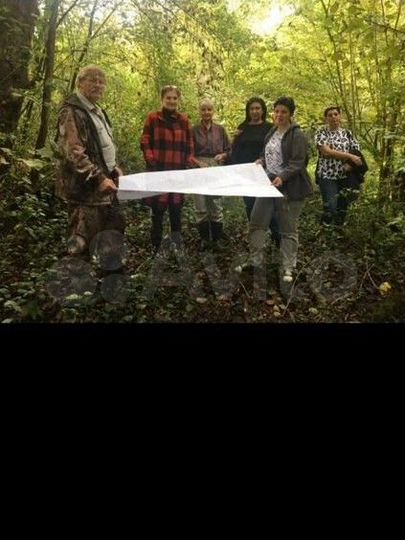 Участок 4,6 сот. (СНТ, ДНП)