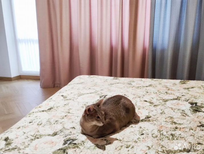 Классические шторы на заказ