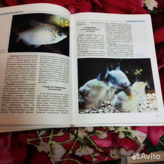 Книги про аквариум