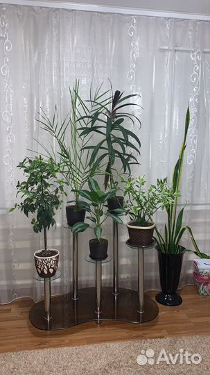 Держатель для комнатных растений