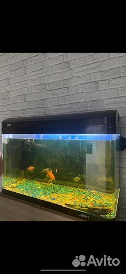Аквариум