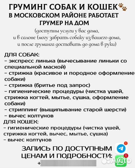 Груминг с выездом на дом