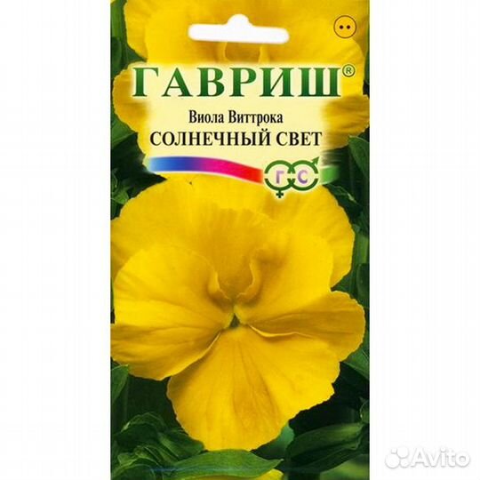 Виола Солнечный свет