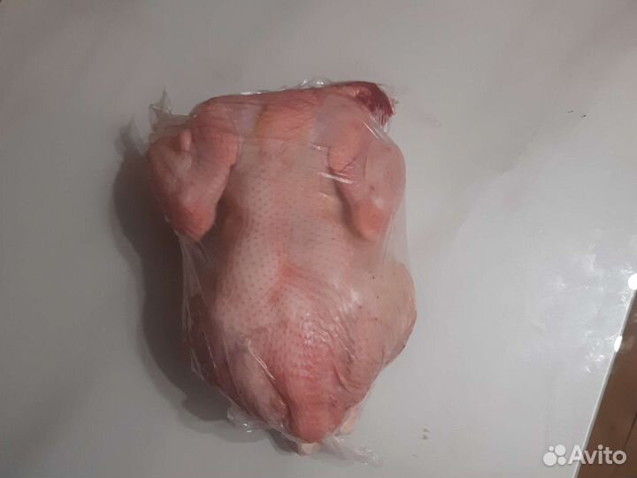 Мясо домашней птицы (курицы)