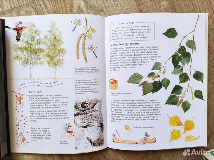 Новые детские книги