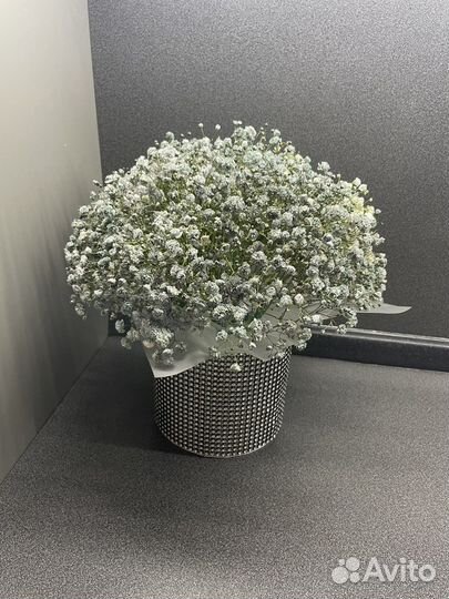 Гипсофила живые цветы подарок