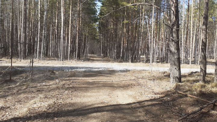 Участок 10,5 сот. (ИЖС)