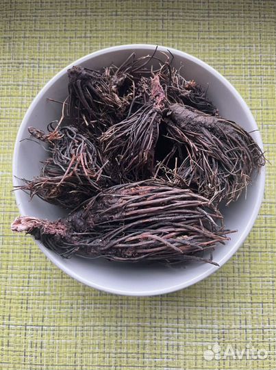 Красная щетка