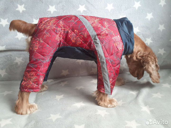 Новые комбинезоны для средних и крупных собак