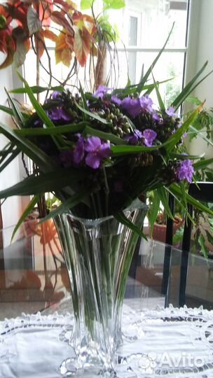 Рассада многолетних цветов